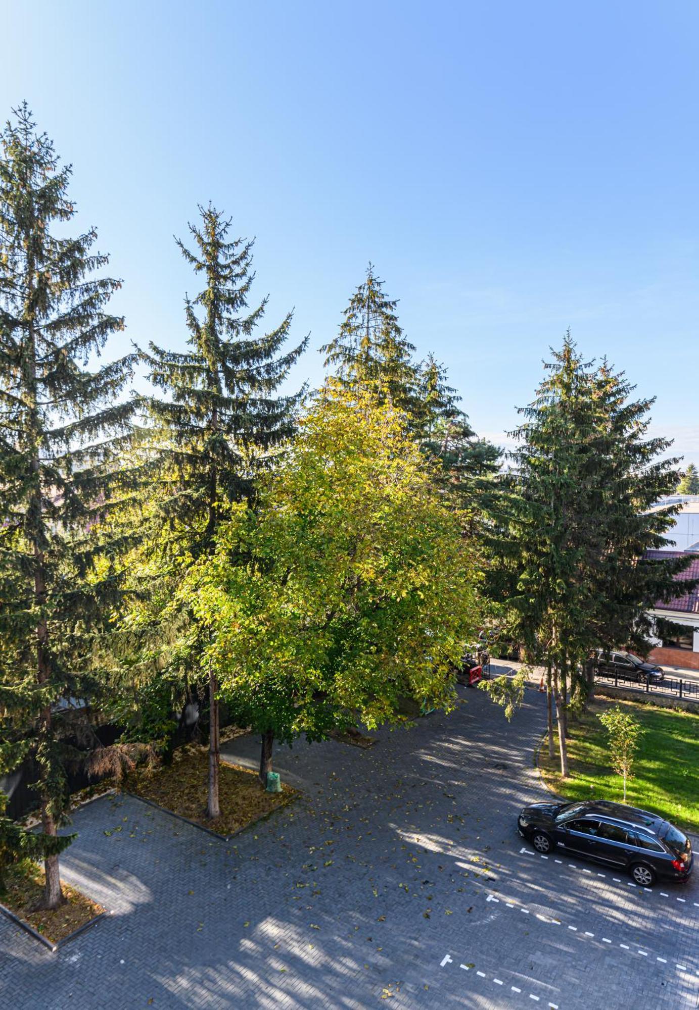 Koa - Davino Aparthotel Braşov Quarto foto